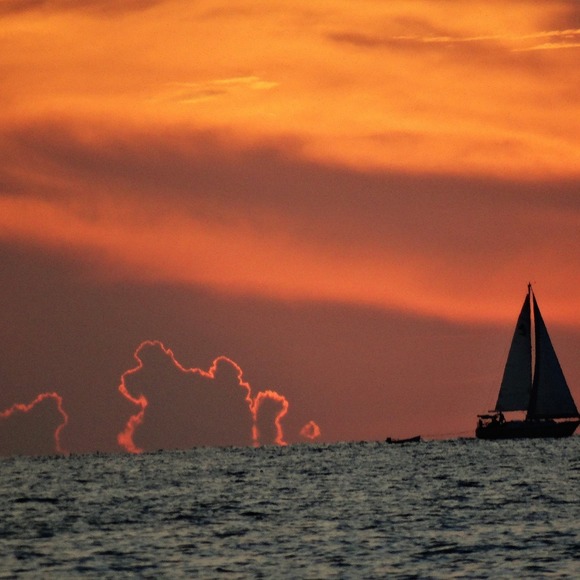 Meet your Posher, Kevin - Picture 1 of 1